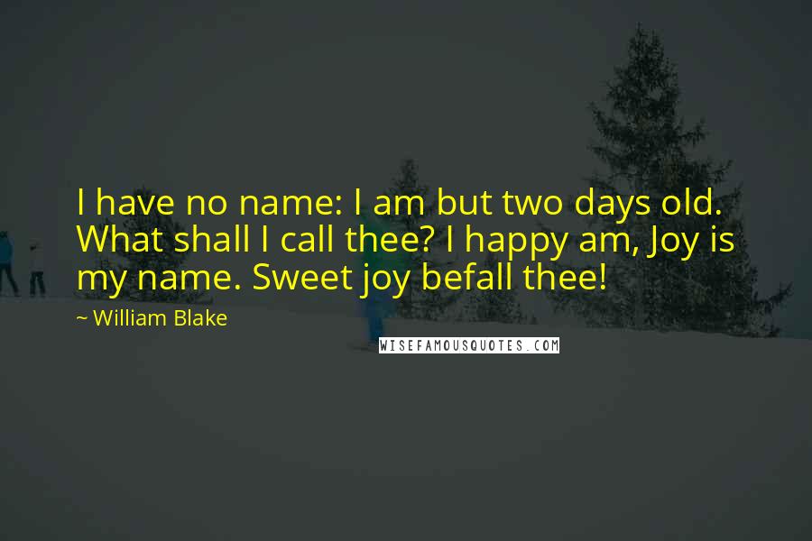 William Blake Quotes: I have no name: I am but two days old. What shall I call thee? I happy am, Joy is my name. Sweet joy befall thee!