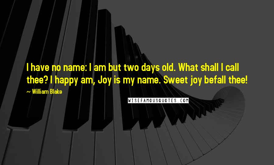 William Blake Quotes: I have no name: I am but two days old. What shall I call thee? I happy am, Joy is my name. Sweet joy befall thee!