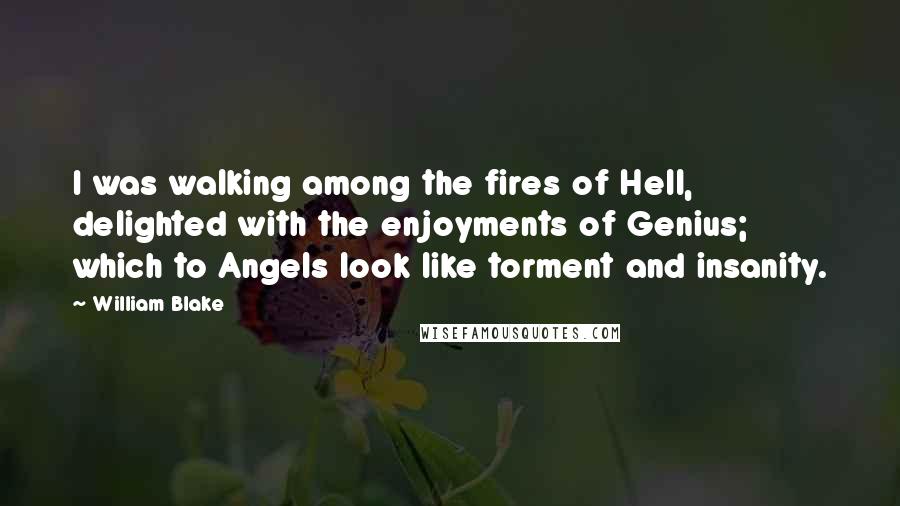 William Blake Quotes: I was walking among the fires of Hell, delighted with the enjoyments of Genius; which to Angels look like torment and insanity.