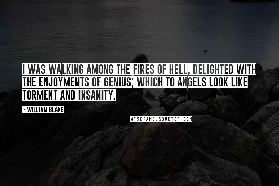 William Blake Quotes: I was walking among the fires of Hell, delighted with the enjoyments of Genius; which to Angels look like torment and insanity.