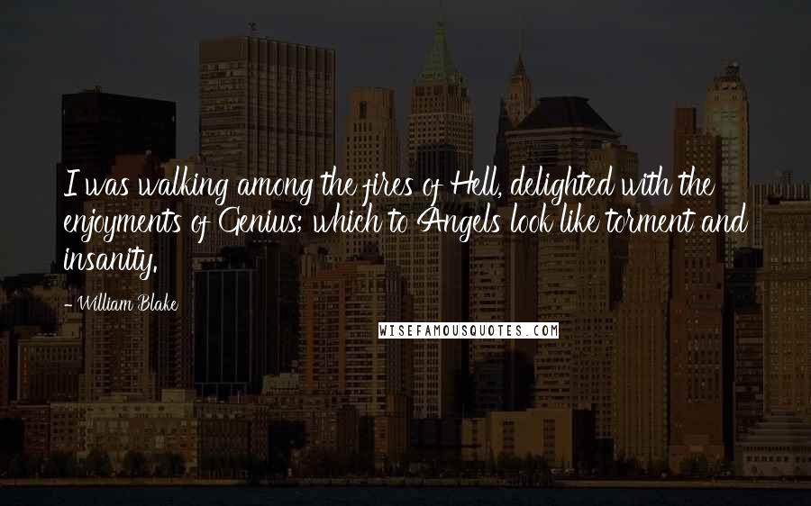 William Blake Quotes: I was walking among the fires of Hell, delighted with the enjoyments of Genius; which to Angels look like torment and insanity.