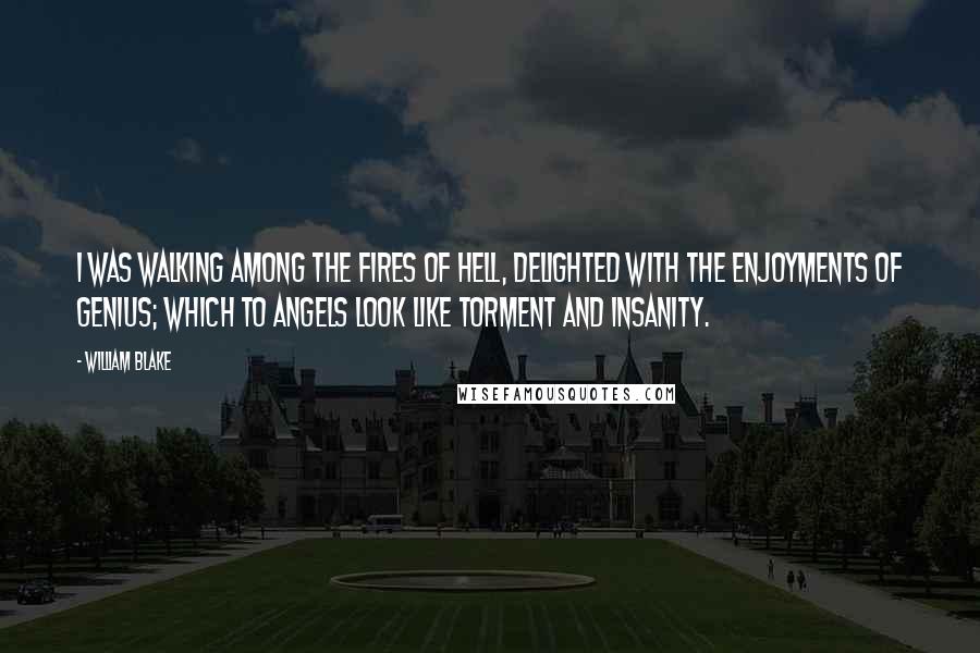 William Blake Quotes: I was walking among the fires of Hell, delighted with the enjoyments of Genius; which to Angels look like torment and insanity.