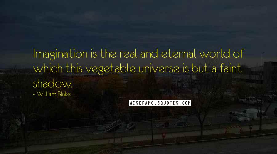 William Blake Quotes: Imagination is the real and eternal world of which this vegetable universe is but a faint shadow.