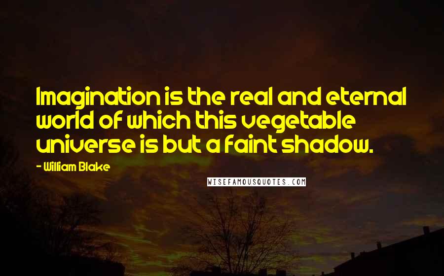 William Blake Quotes: Imagination is the real and eternal world of which this vegetable universe is but a faint shadow.