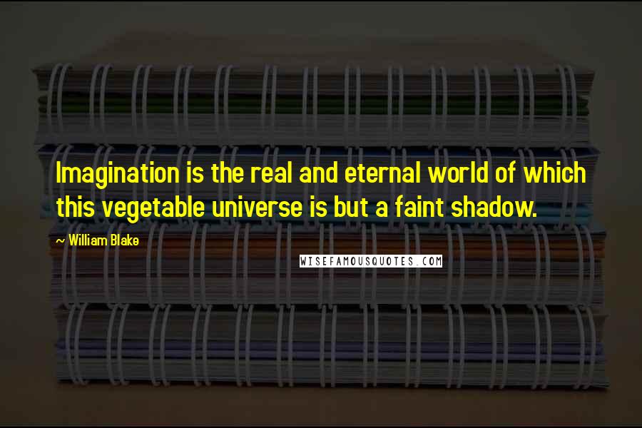 William Blake Quotes: Imagination is the real and eternal world of which this vegetable universe is but a faint shadow.