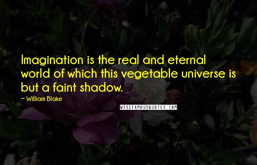 William Blake Quotes: Imagination is the real and eternal world of which this vegetable universe is but a faint shadow.