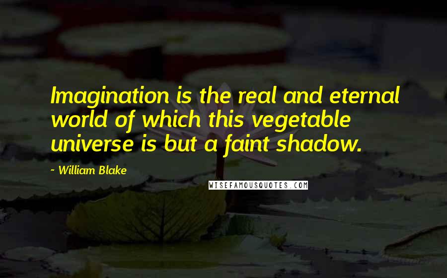 William Blake Quotes: Imagination is the real and eternal world of which this vegetable universe is but a faint shadow.