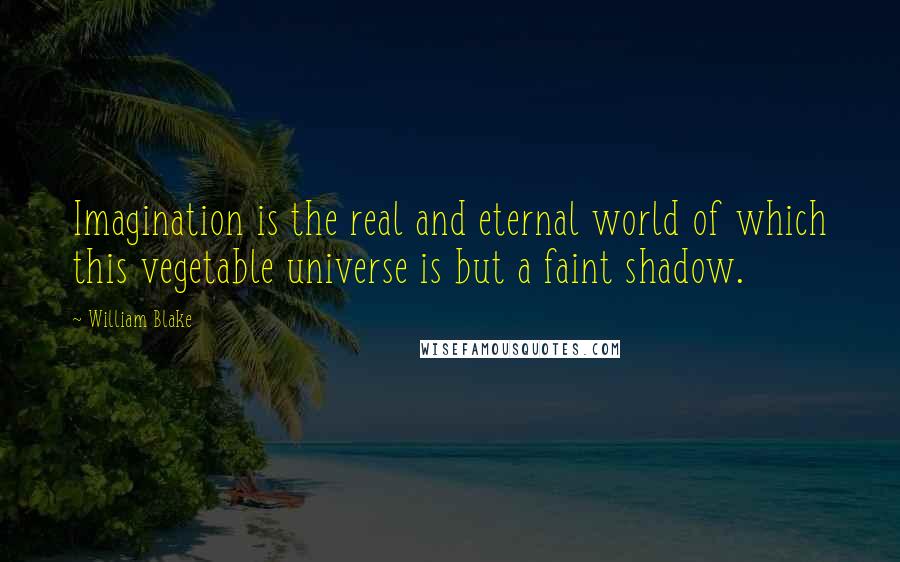 William Blake Quotes: Imagination is the real and eternal world of which this vegetable universe is but a faint shadow.