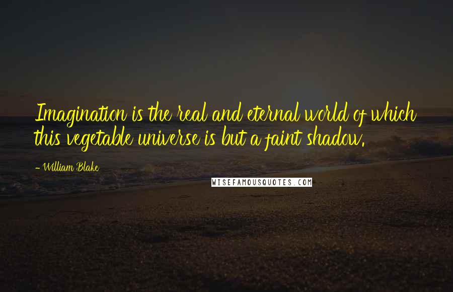 William Blake Quotes: Imagination is the real and eternal world of which this vegetable universe is but a faint shadow.