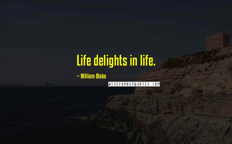 William Blake Quotes: Life delights in life.