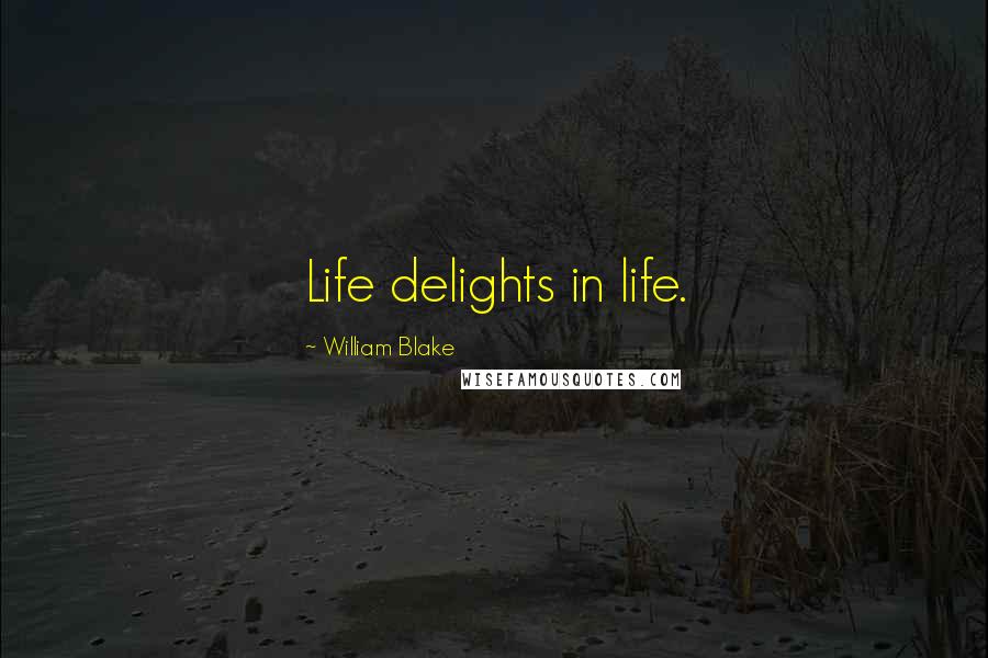 William Blake Quotes: Life delights in life.