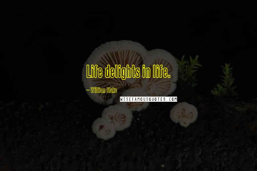 William Blake Quotes: Life delights in life.
