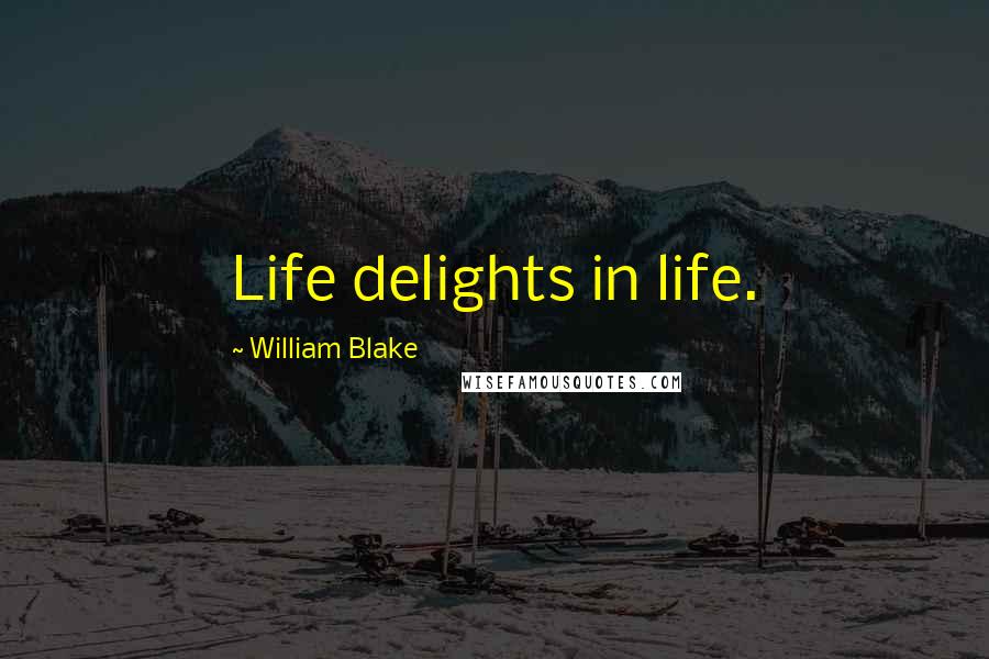William Blake Quotes: Life delights in life.