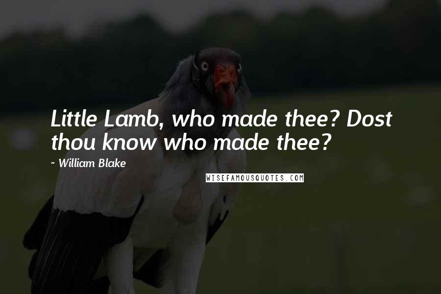 William Blake Quotes: Little Lamb, who made thee? Dost thou know who made thee?