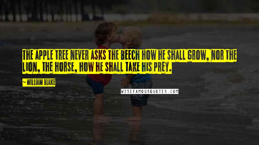 William Blake Quotes: The apple tree never asks the beech how he shall grow, nor the lion, the horse, how he shall take his prey.