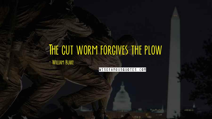 William Blake Quotes: The cut worm forgives the plow