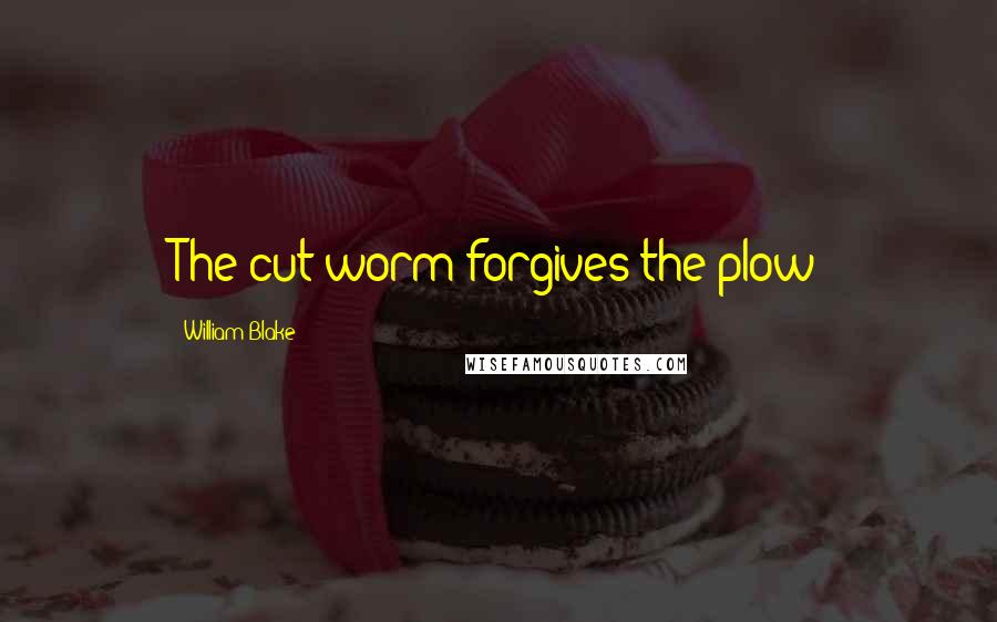 William Blake Quotes: The cut worm forgives the plow