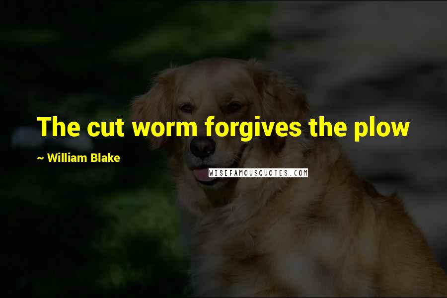 William Blake Quotes: The cut worm forgives the plow