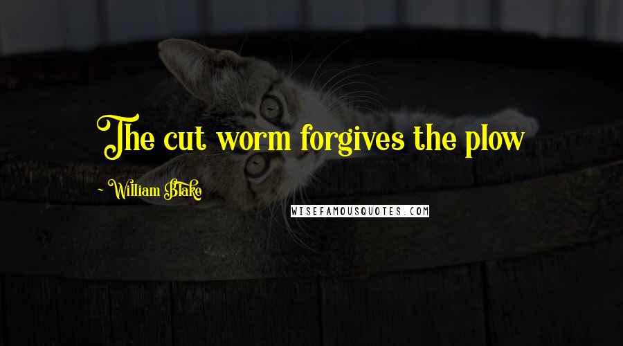 William Blake Quotes: The cut worm forgives the plow