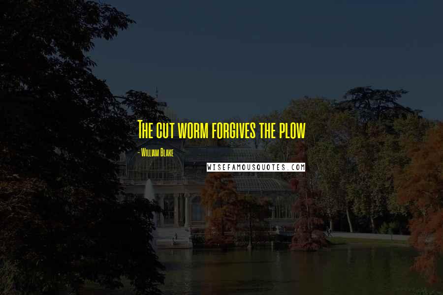 William Blake Quotes: The cut worm forgives the plow