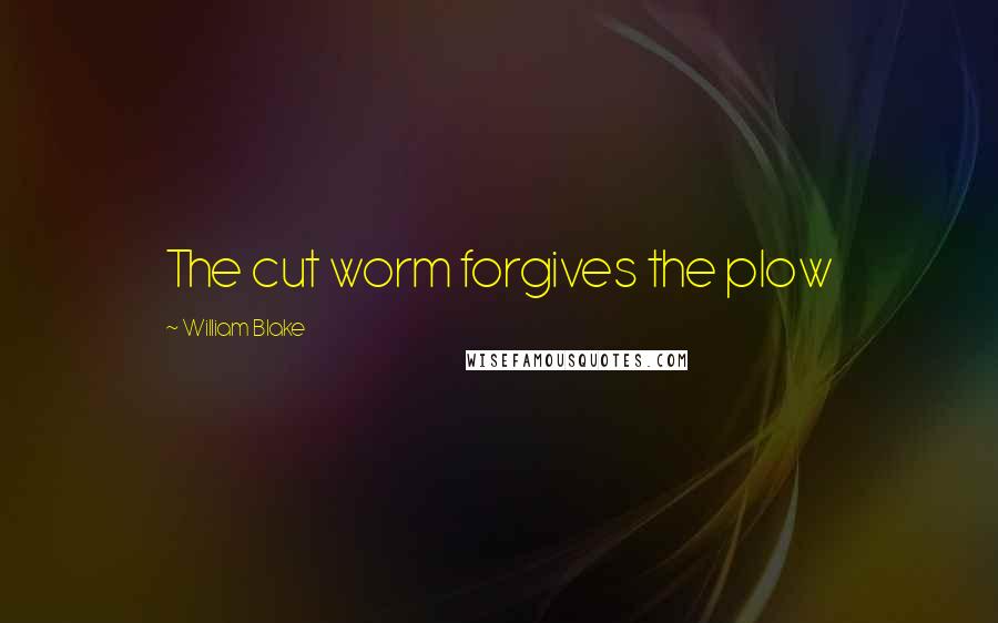 William Blake Quotes: The cut worm forgives the plow