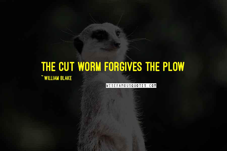 William Blake Quotes: The cut worm forgives the plow