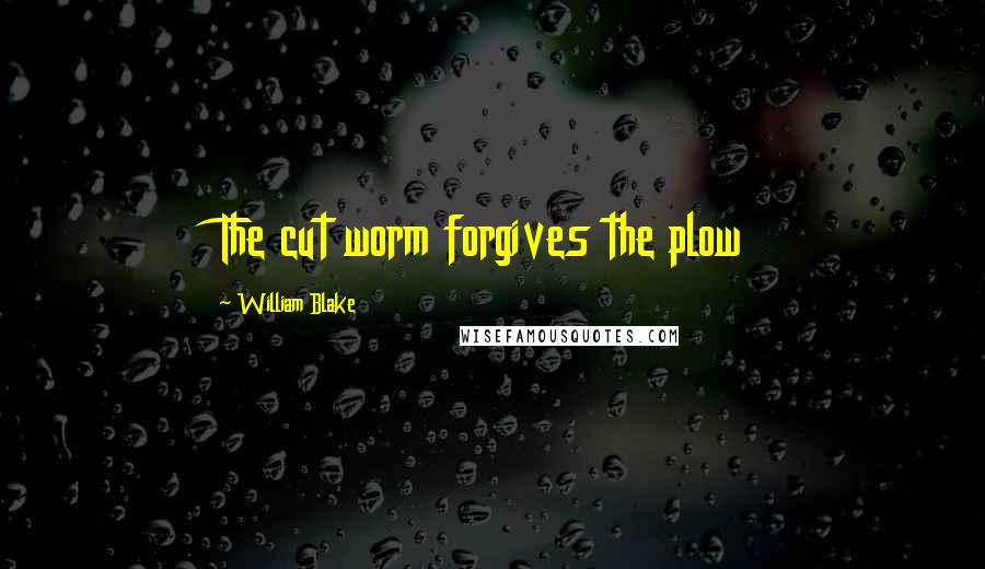 William Blake Quotes: The cut worm forgives the plow