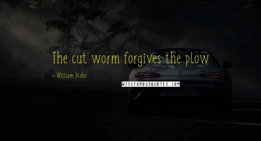 William Blake Quotes: The cut worm forgives the plow