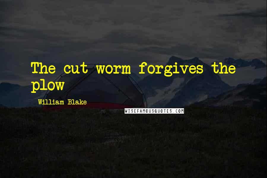 William Blake Quotes: The cut worm forgives the plow