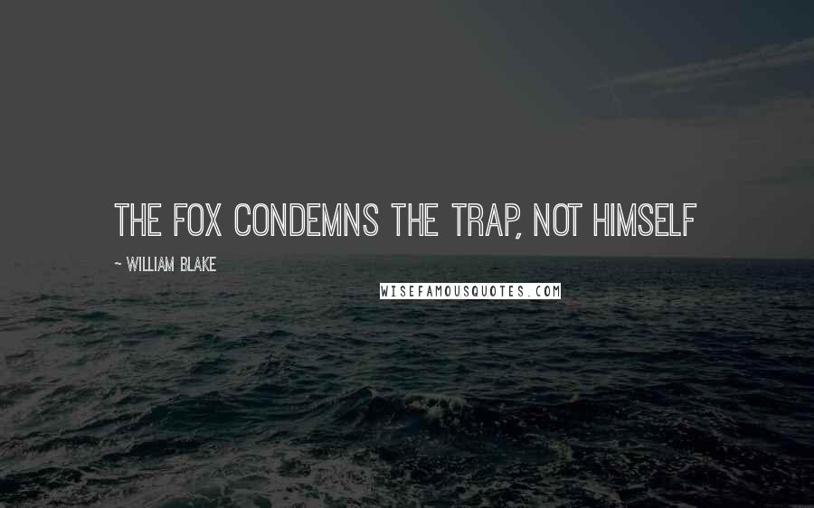 William Blake Quotes: The fox condemns the trap, not himself
