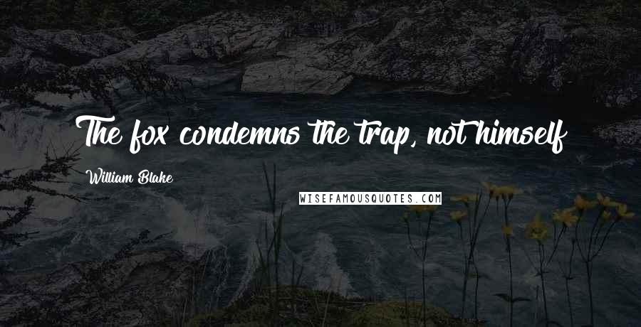 William Blake Quotes: The fox condemns the trap, not himself