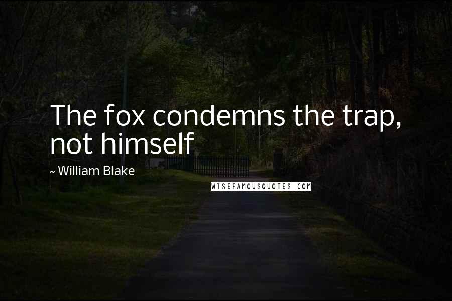 William Blake Quotes: The fox condemns the trap, not himself