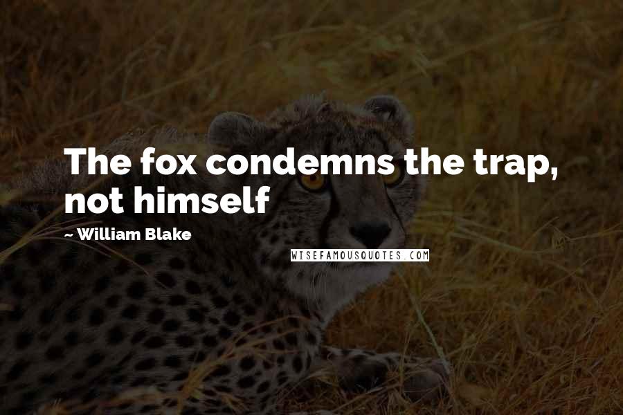 William Blake Quotes: The fox condemns the trap, not himself