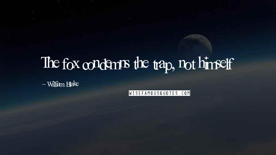 William Blake Quotes: The fox condemns the trap, not himself