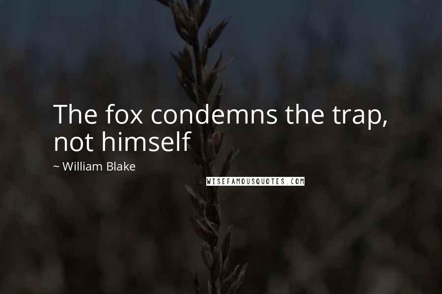 William Blake Quotes: The fox condemns the trap, not himself