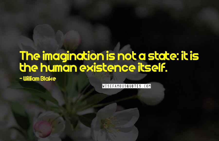 William Blake Quotes: The imagination is not a state: it is the human existence itself.