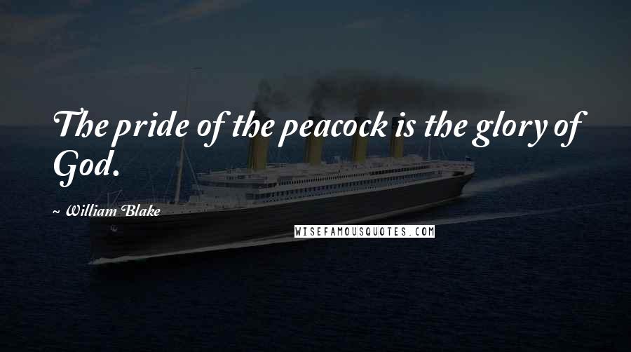 William Blake Quotes: The pride of the peacock is the glory of God.