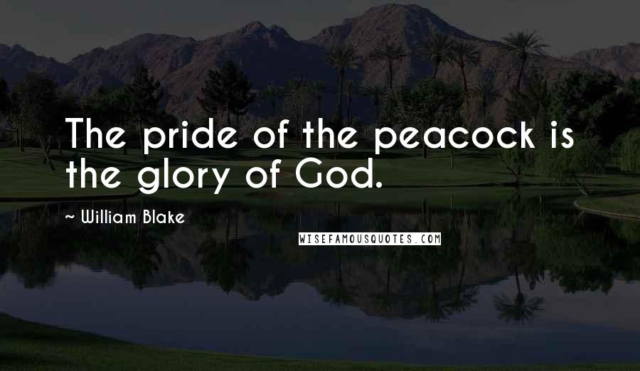 William Blake Quotes: The pride of the peacock is the glory of God.