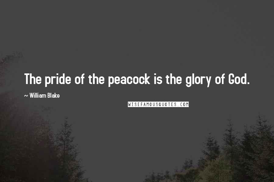 William Blake Quotes: The pride of the peacock is the glory of God.