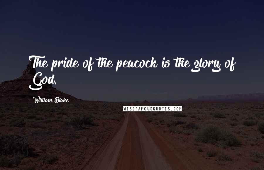 William Blake Quotes: The pride of the peacock is the glory of God.