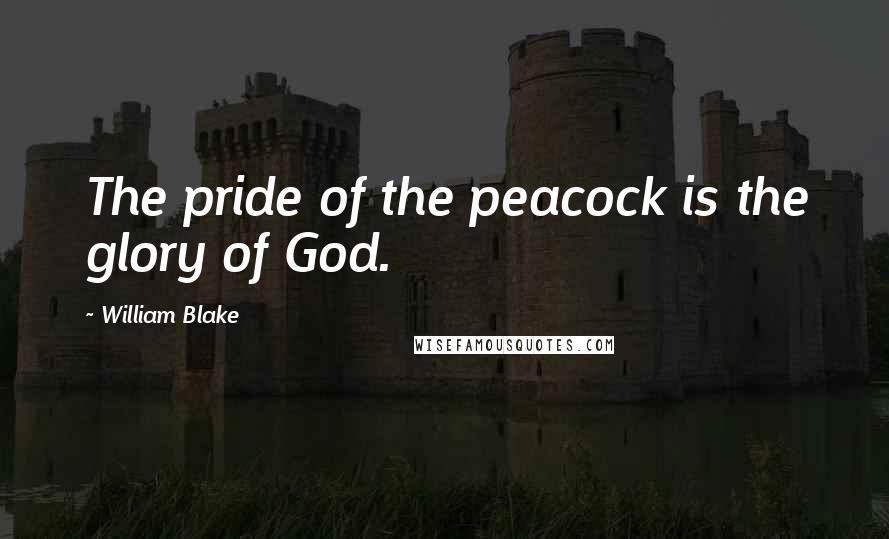 William Blake Quotes: The pride of the peacock is the glory of God.