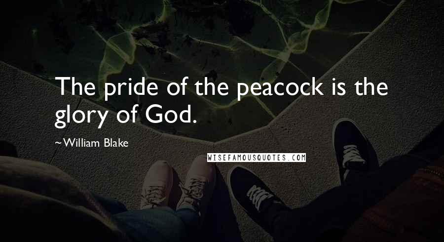 William Blake Quotes: The pride of the peacock is the glory of God.