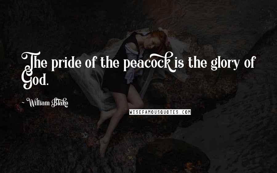 William Blake Quotes: The pride of the peacock is the glory of God.