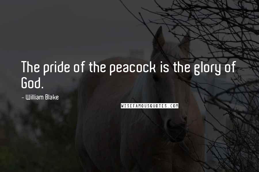 William Blake Quotes: The pride of the peacock is the glory of God.