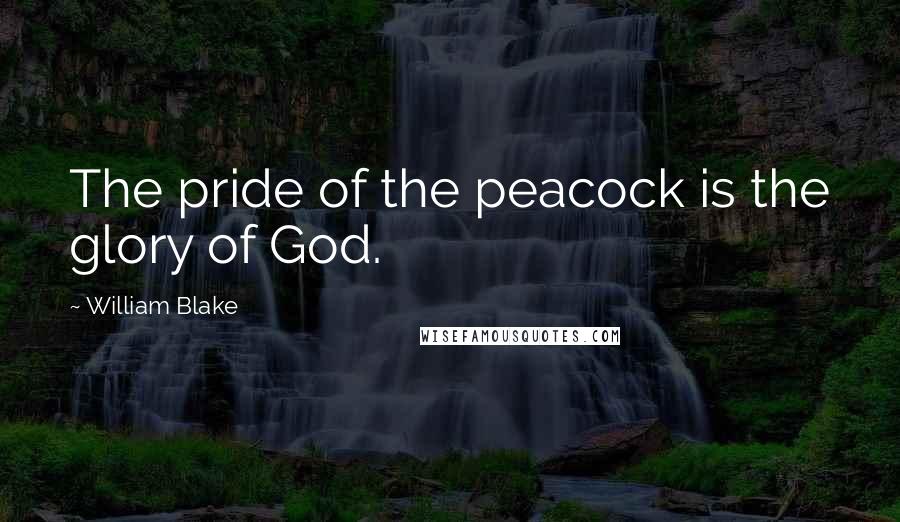 William Blake Quotes: The pride of the peacock is the glory of God.