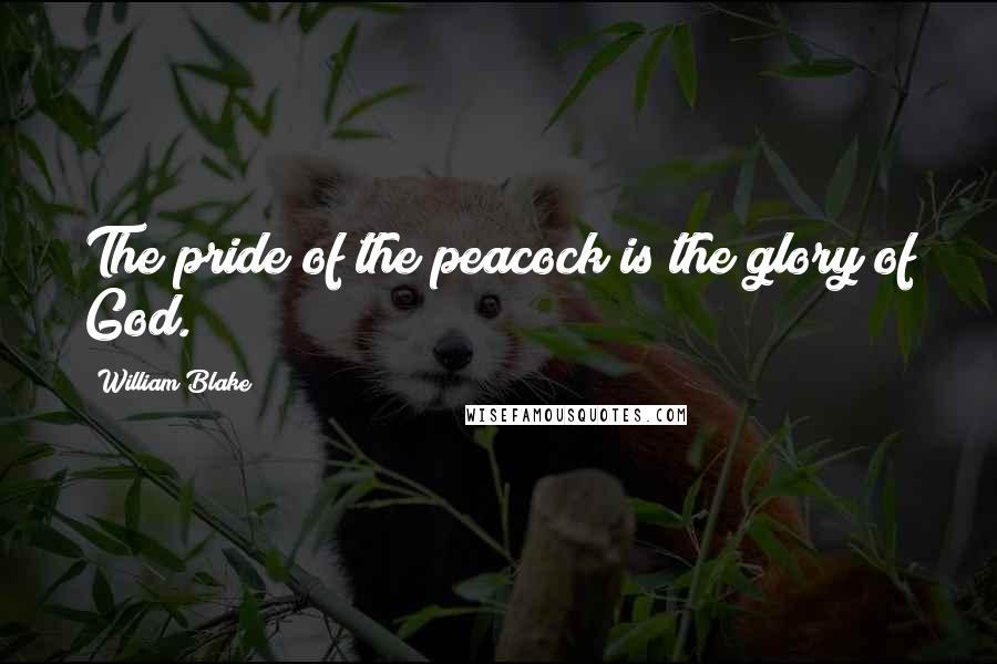 William Blake Quotes: The pride of the peacock is the glory of God.