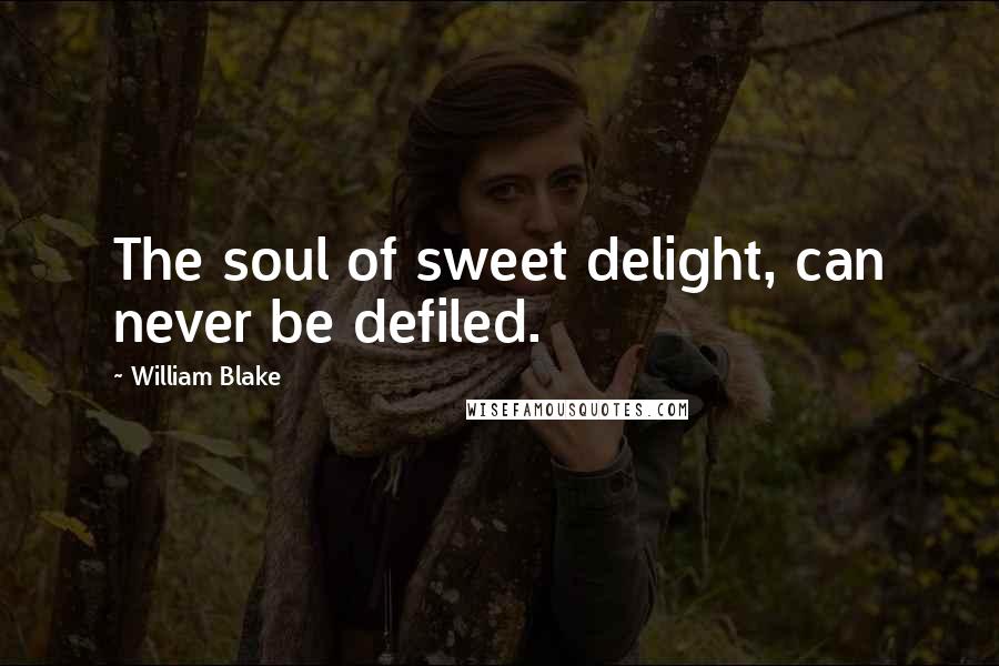 William Blake Quotes: The soul of sweet delight, can never be defiled.