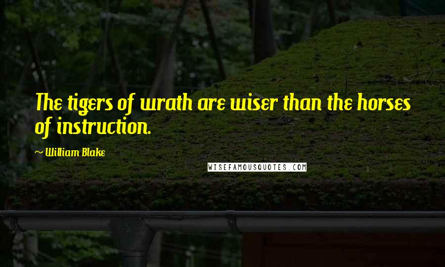 William Blake Quotes: The tigers of wrath are wiser than the horses of instruction.