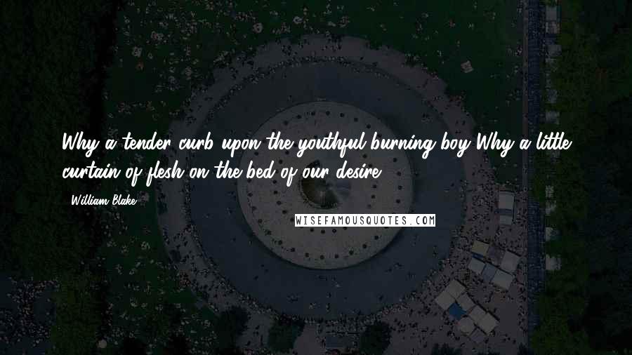 William Blake Quotes: Why a tender curb upon the youthful burning boy?Why a little curtain of flesh on the bed of our desire?