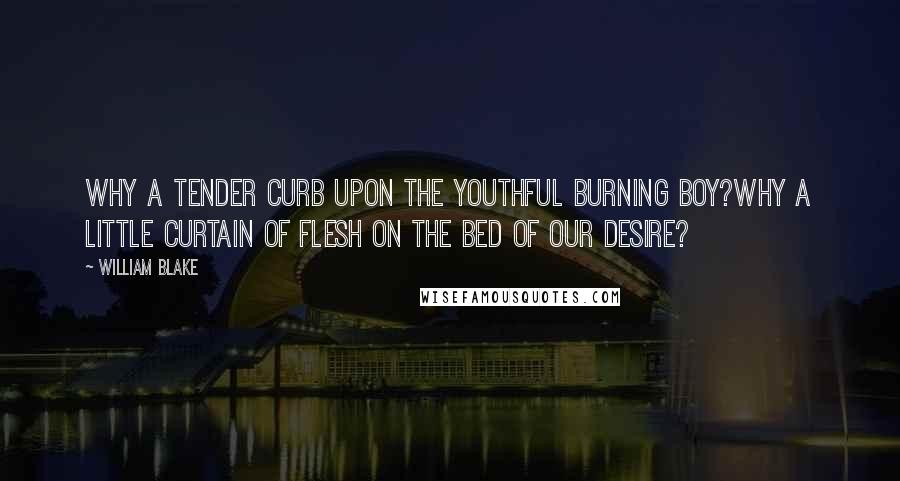 William Blake Quotes: Why a tender curb upon the youthful burning boy?Why a little curtain of flesh on the bed of our desire?